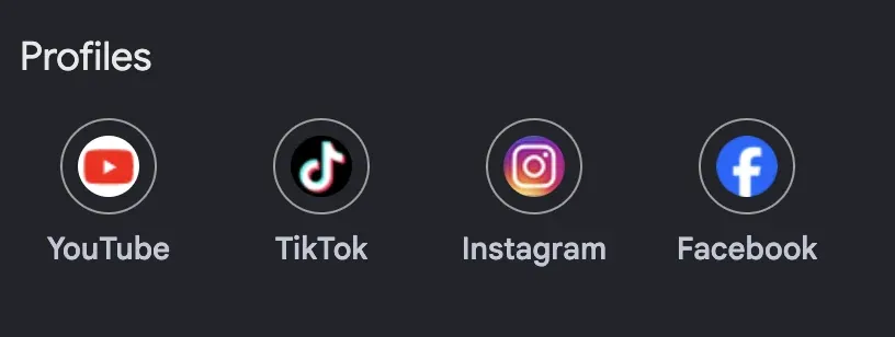 Social media profiles connected to the Google Business Profile