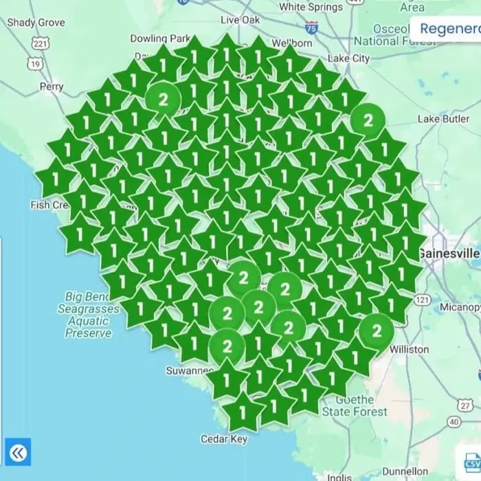 Large-radius geo-grid scan dominated by number 1 rankings across the region